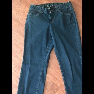 Lane Bryant Tighter Tummy Technology Jeans